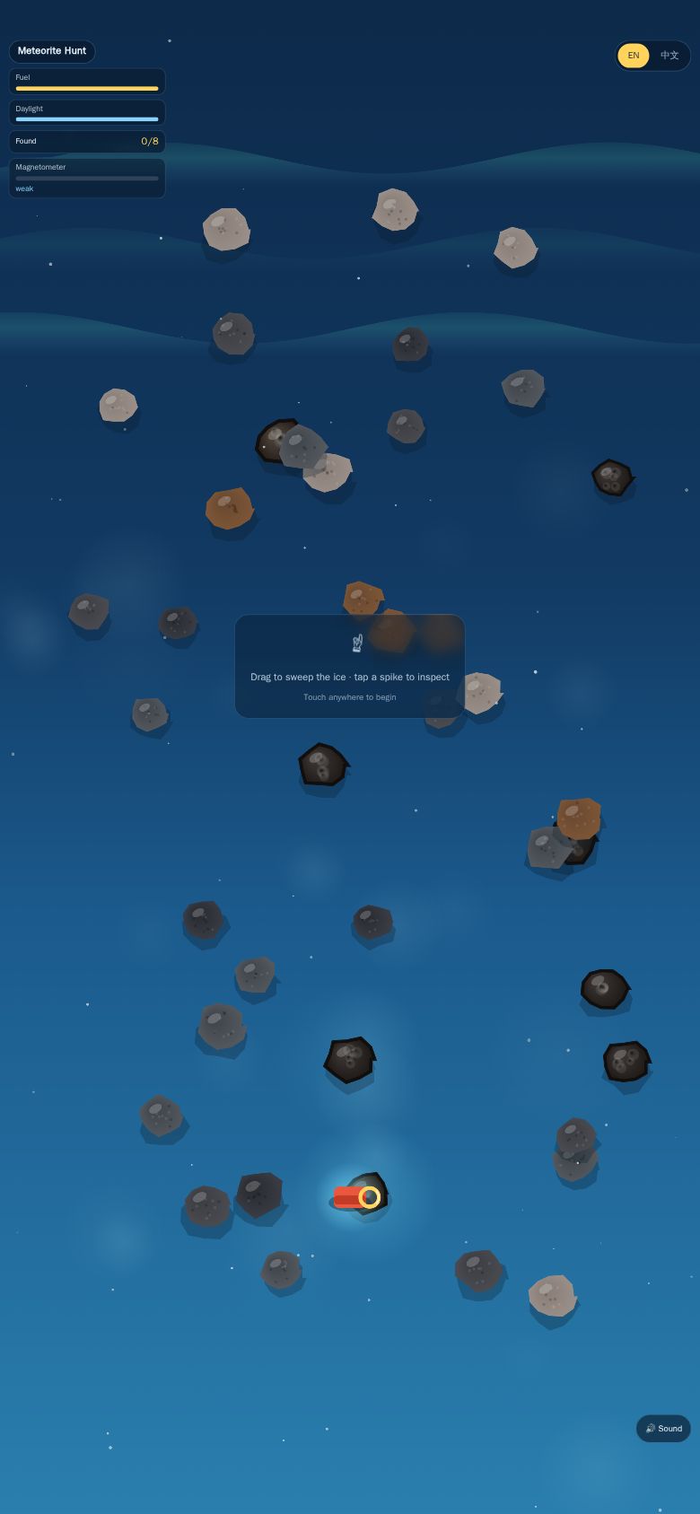 Meteorite Hunt