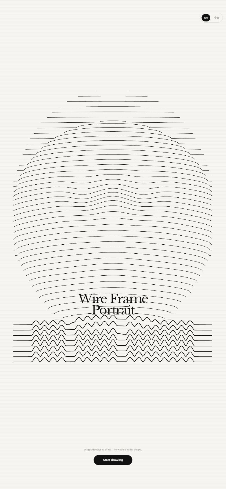 Wire Frame Portrait