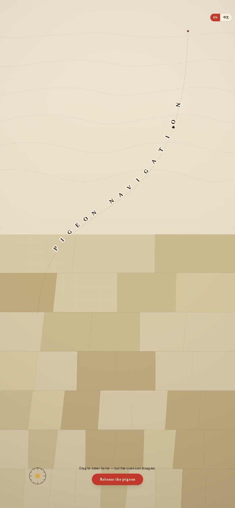 Pigeon Navigation