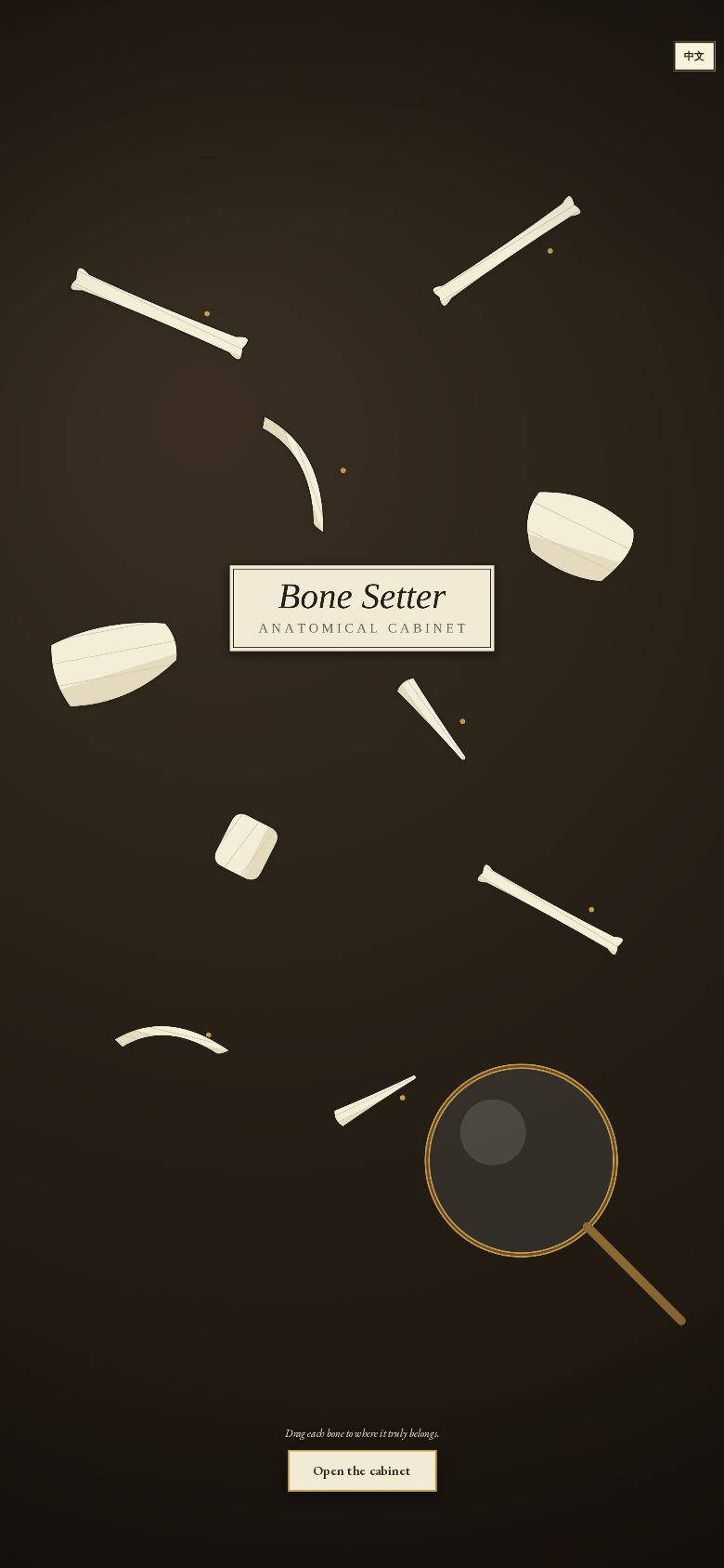 Bone Setter