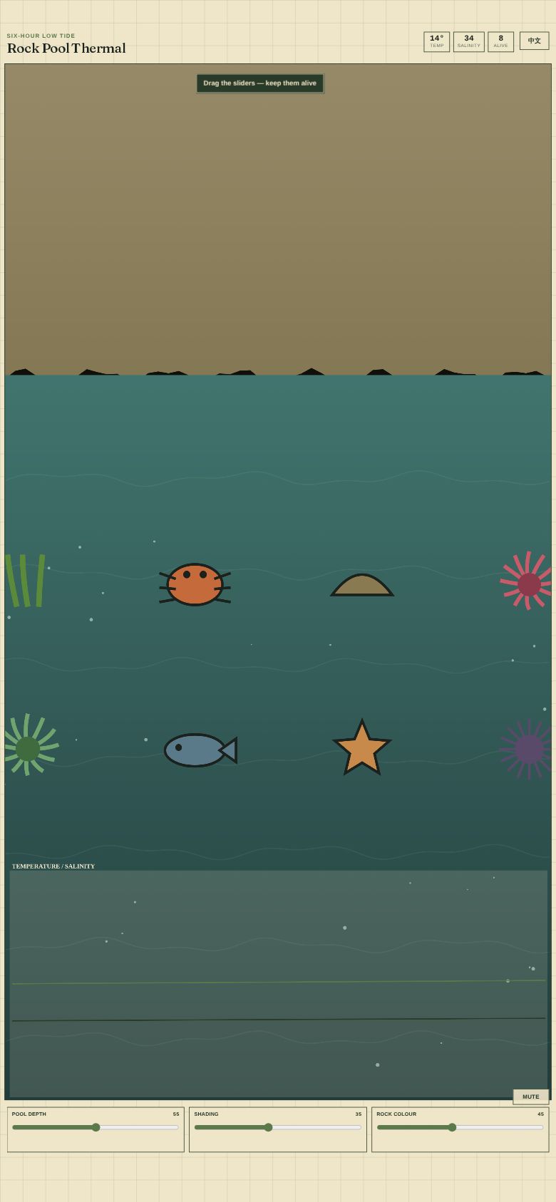 Rock Pool Thermal