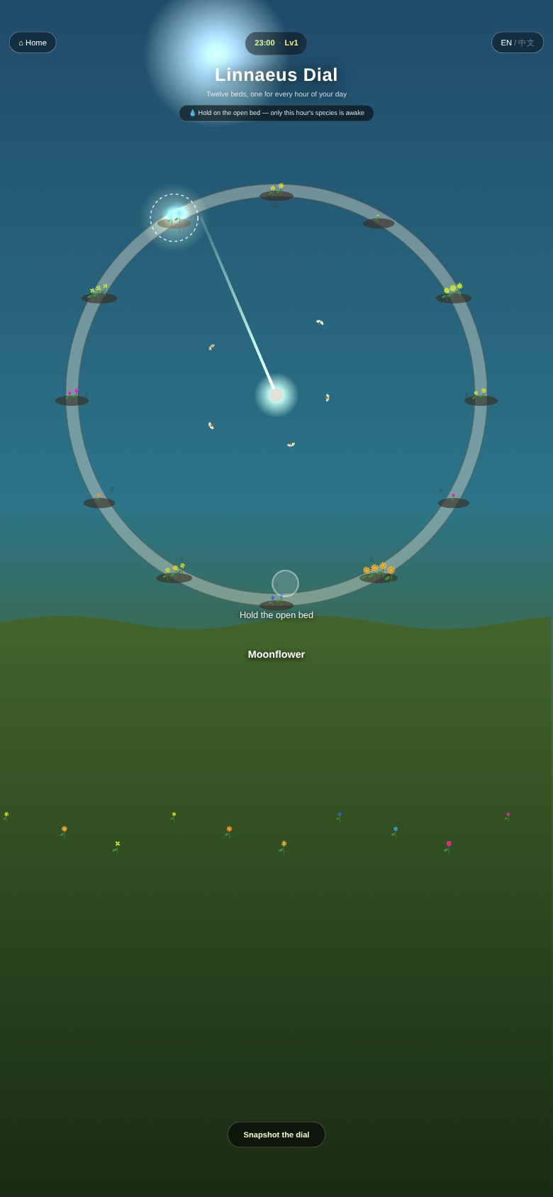 Linnaeus Dial