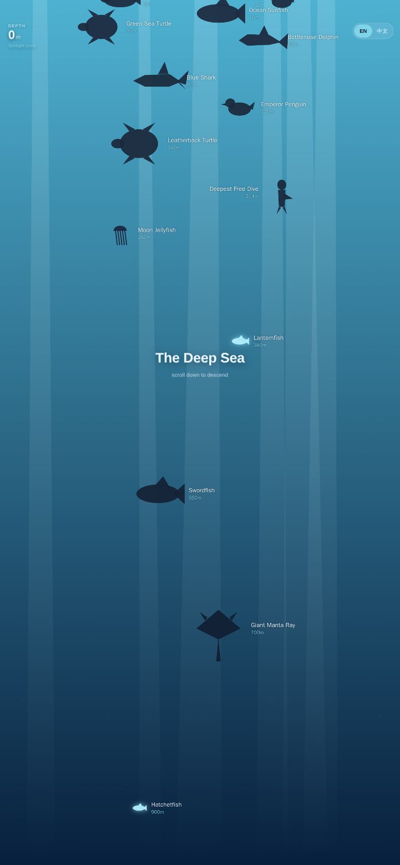 The Deep Sea