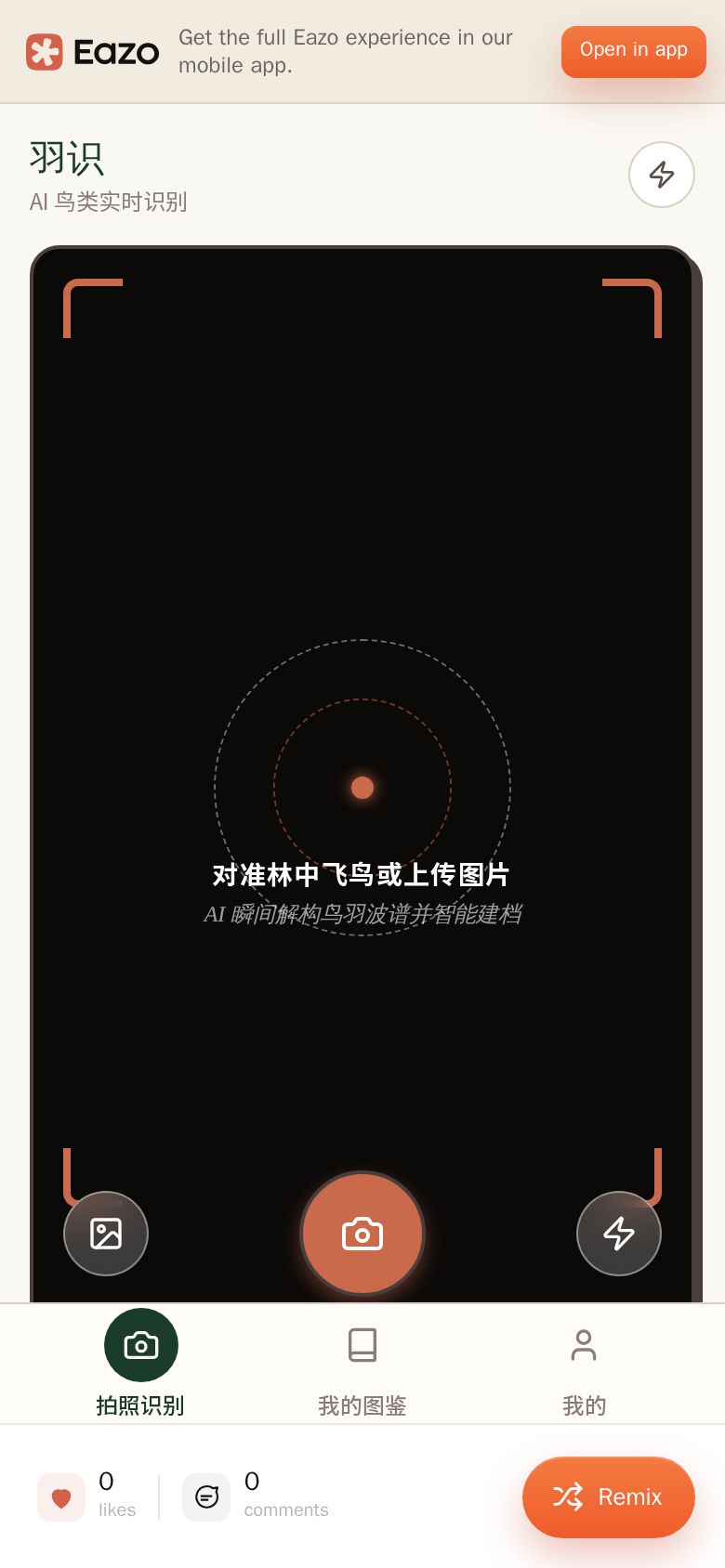 羽识 - AI鸟类实时识别