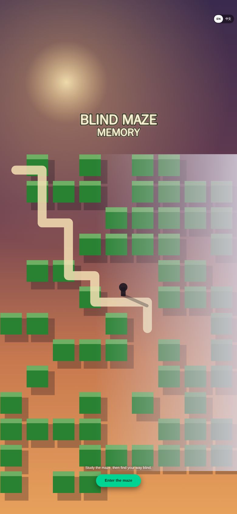 Blind Maze Memory