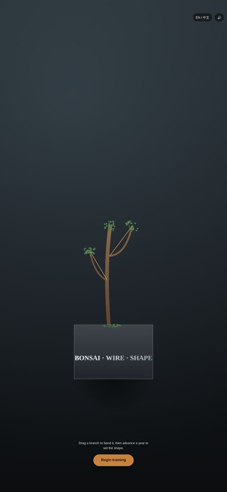 Bonsai Wire Shape