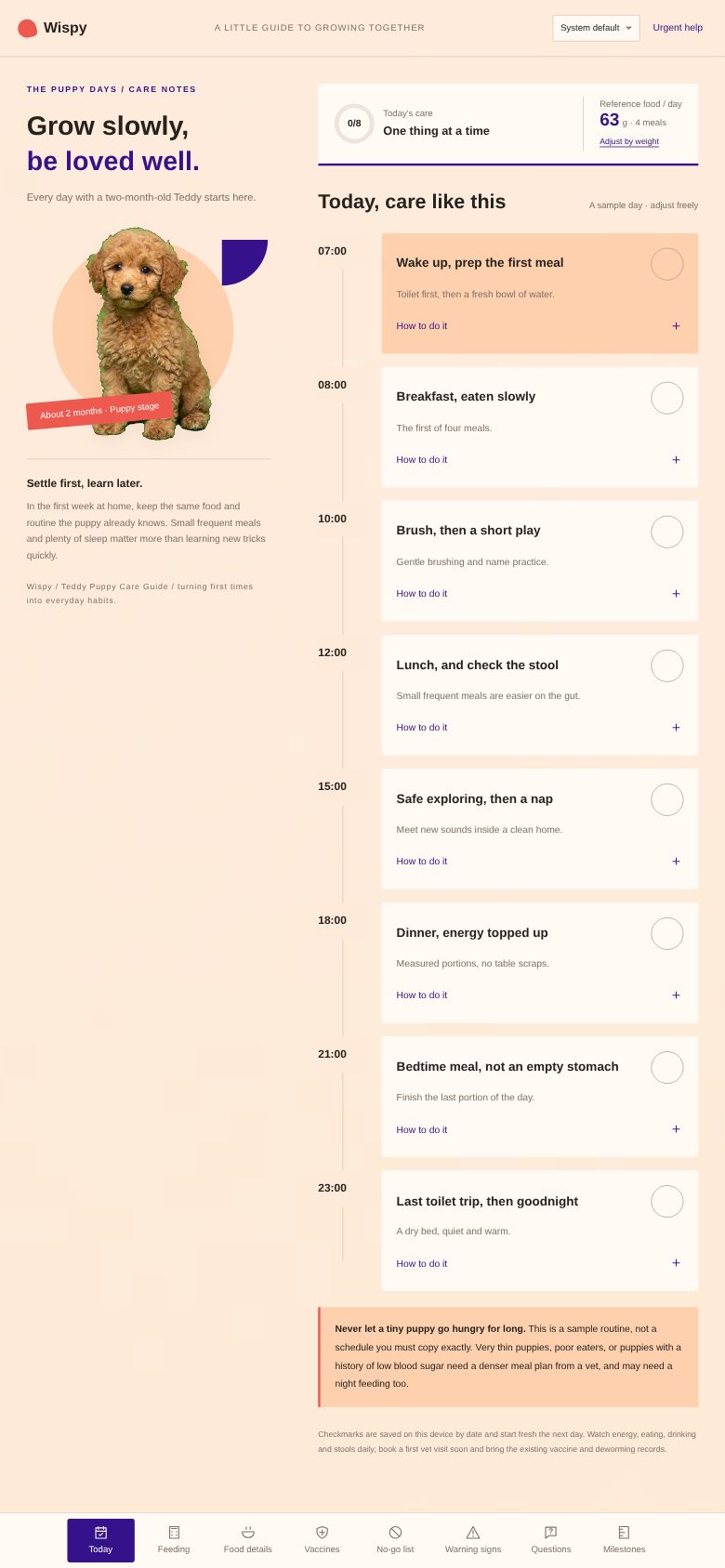 Teddy Puppy Care Guide