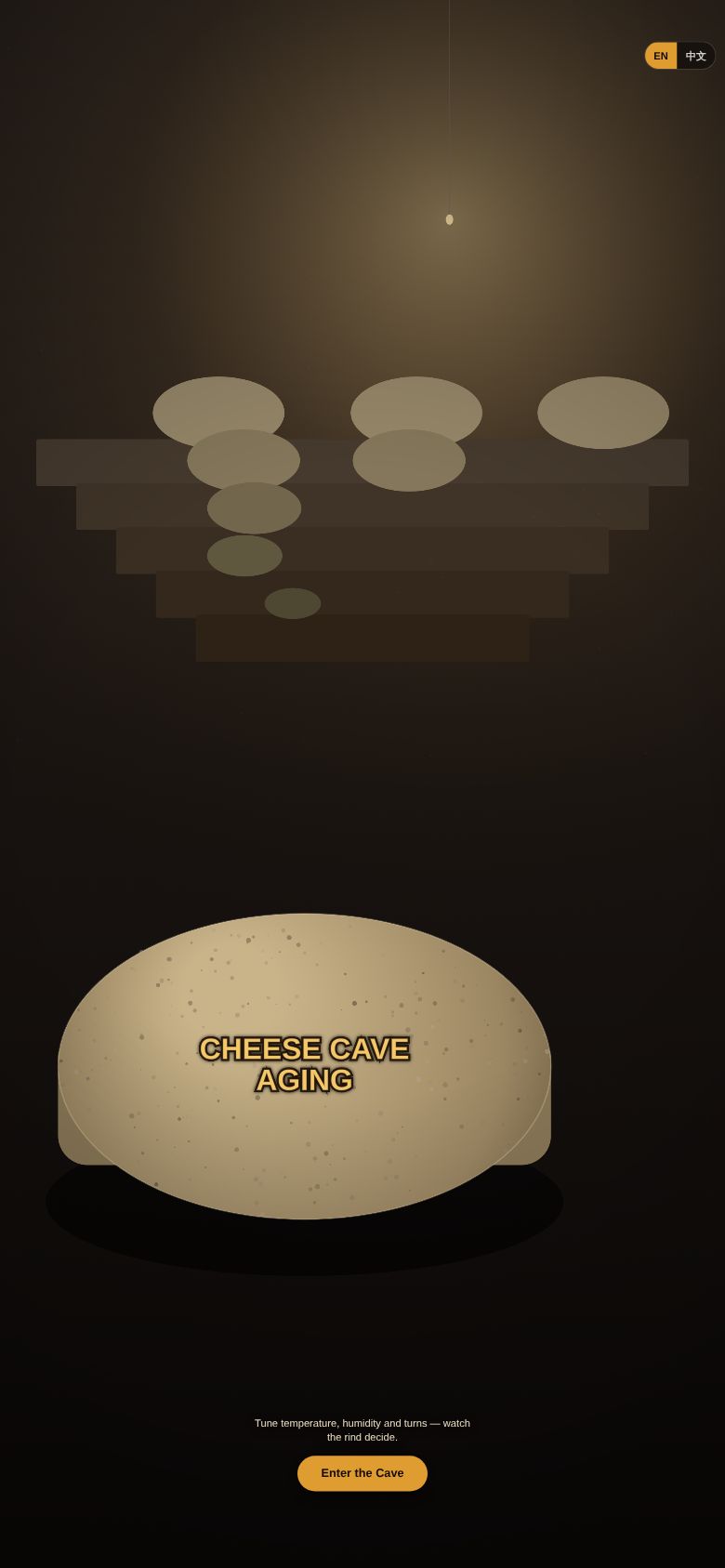 Cheese Cave Aging