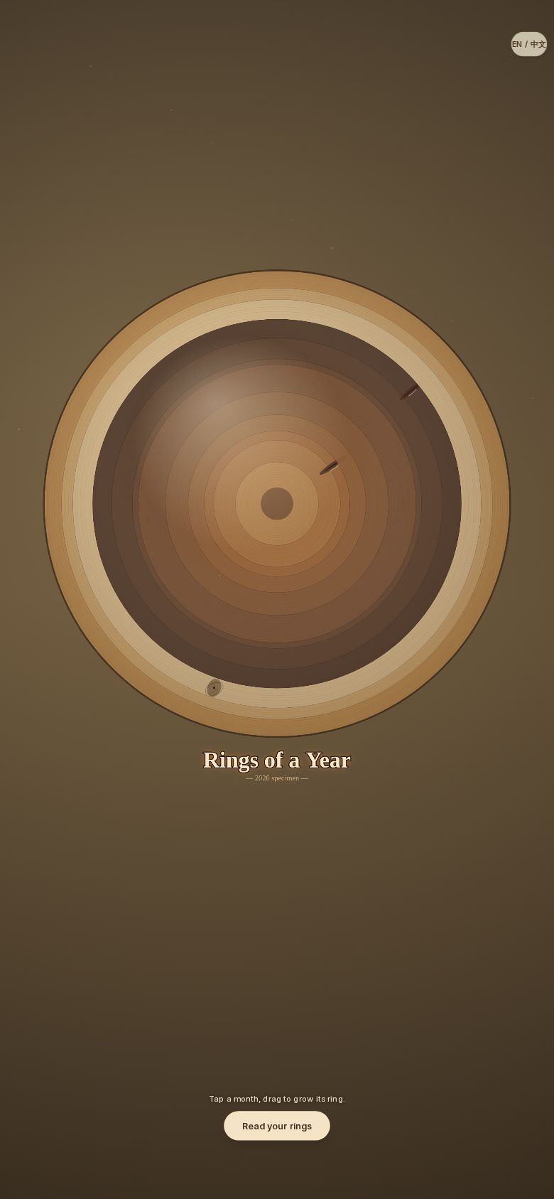Rings of a Year