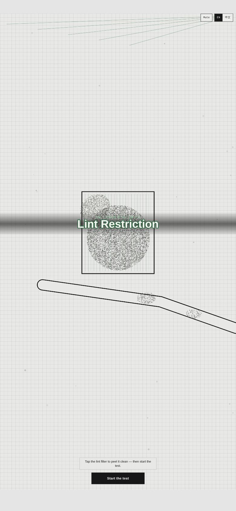 Lint Restriction