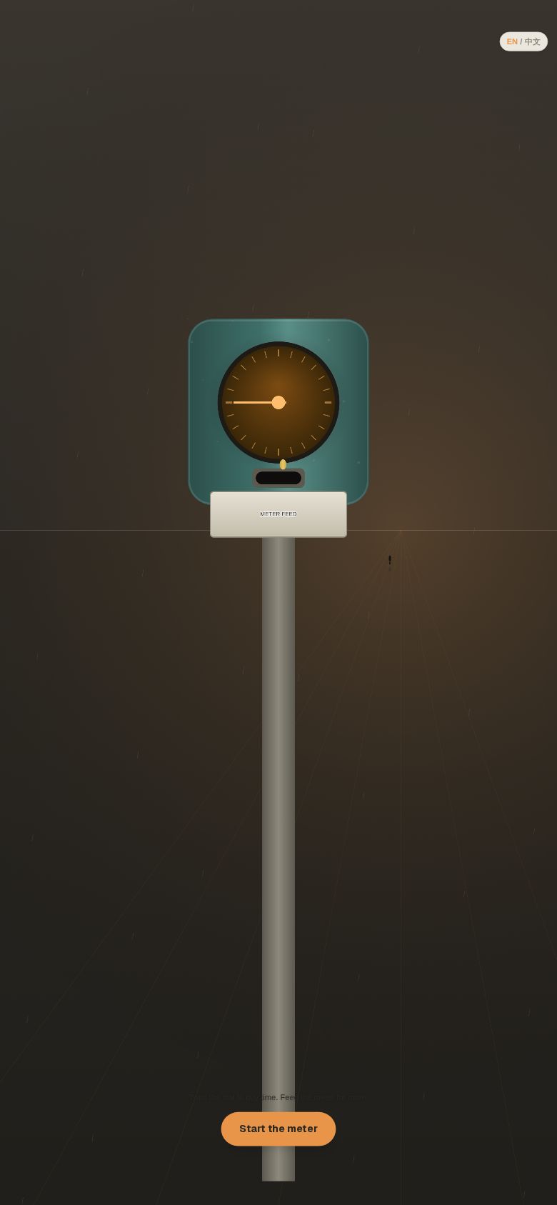 Meter Feed