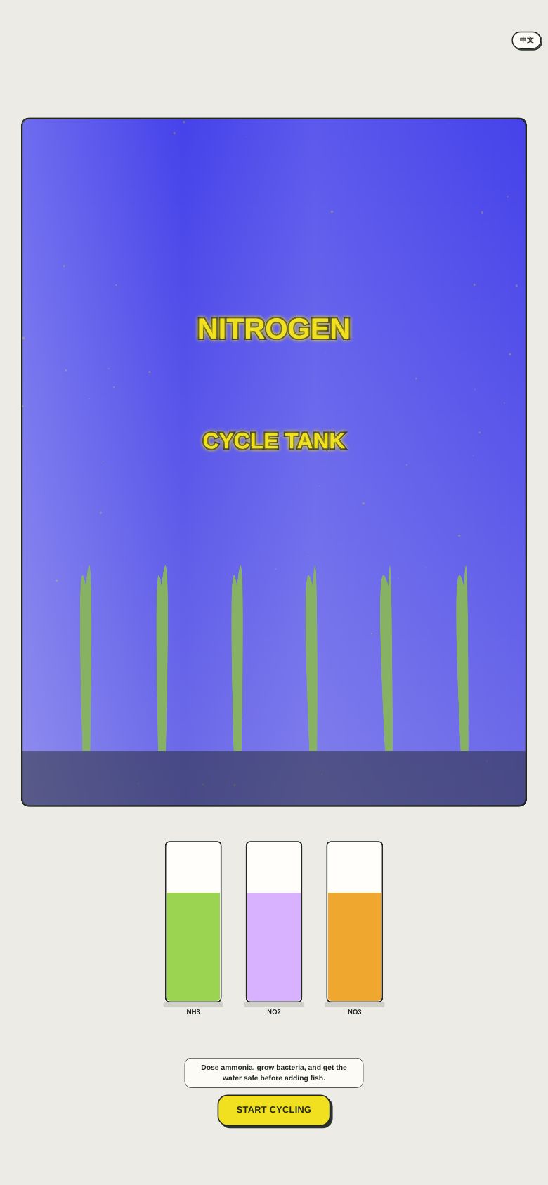 Nitrogen Cycle Tank