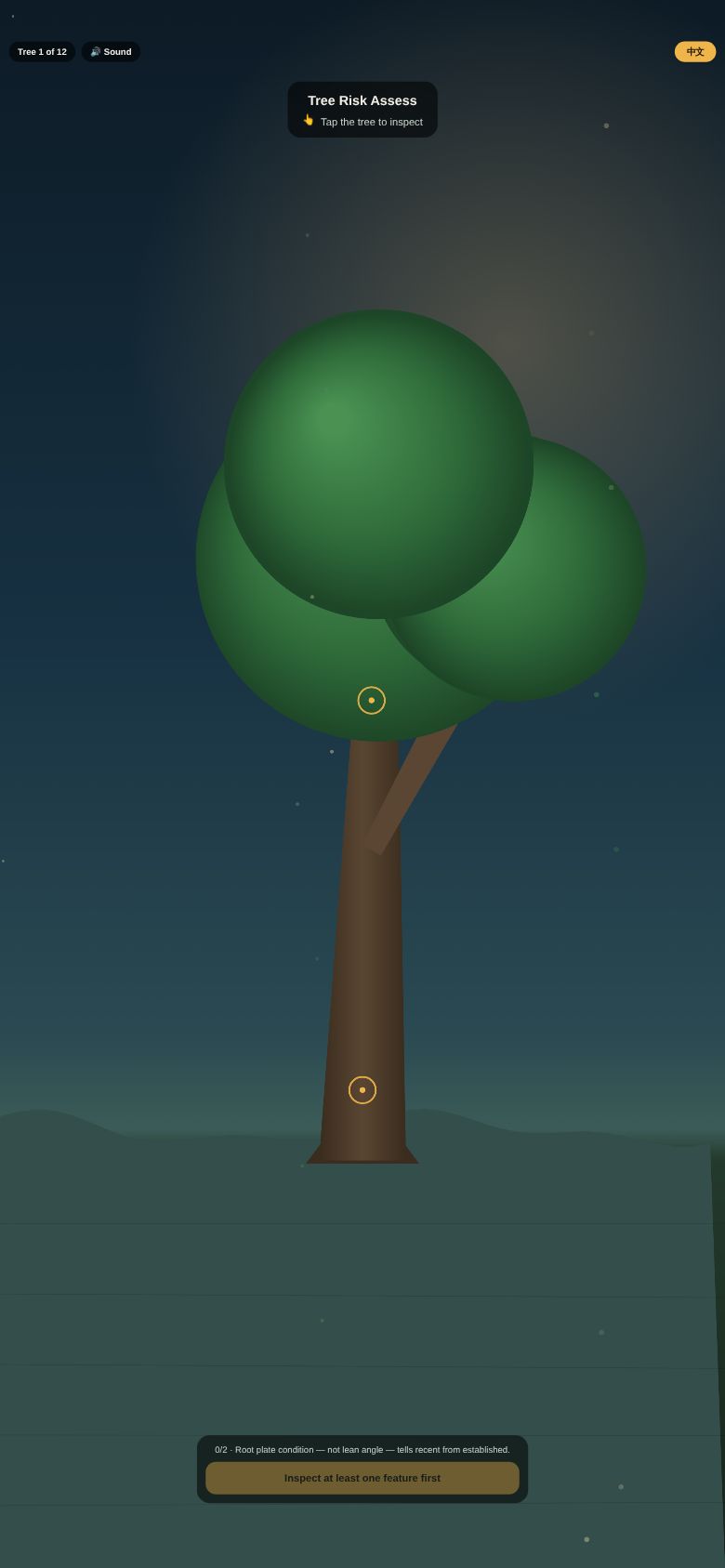 Tree Risk Assess