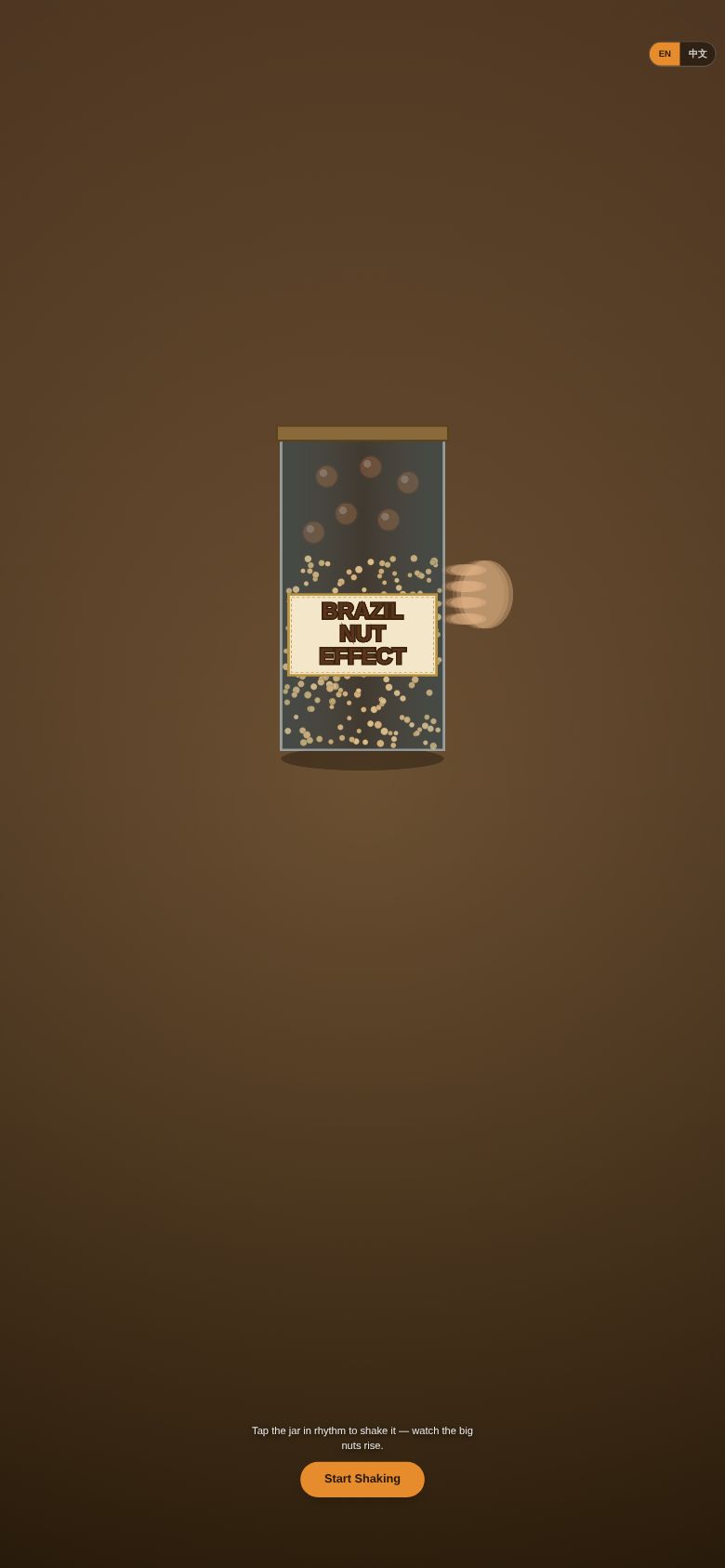 Brazil Nut Effect