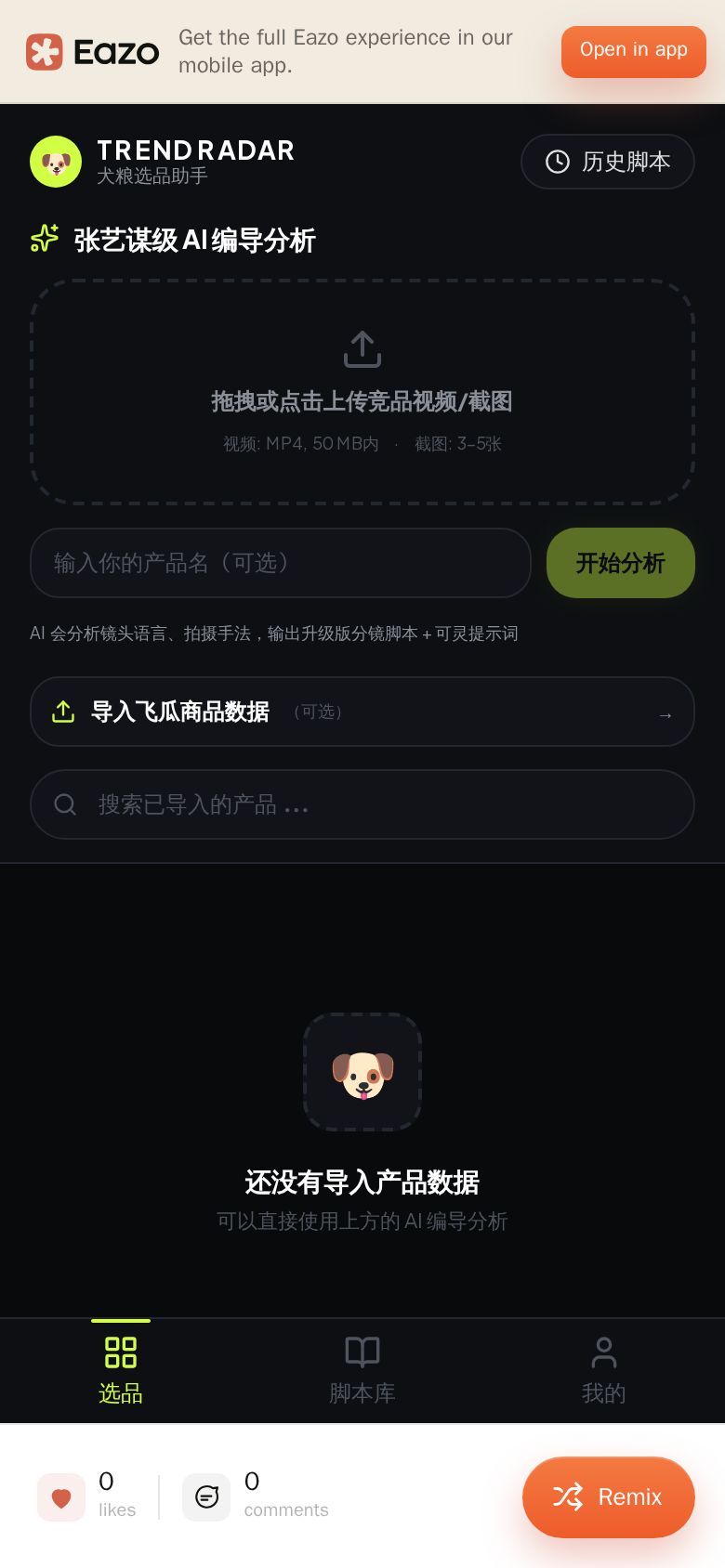 视频分析助手