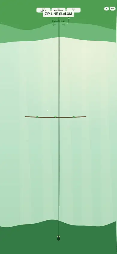 Zip Line Slalom
