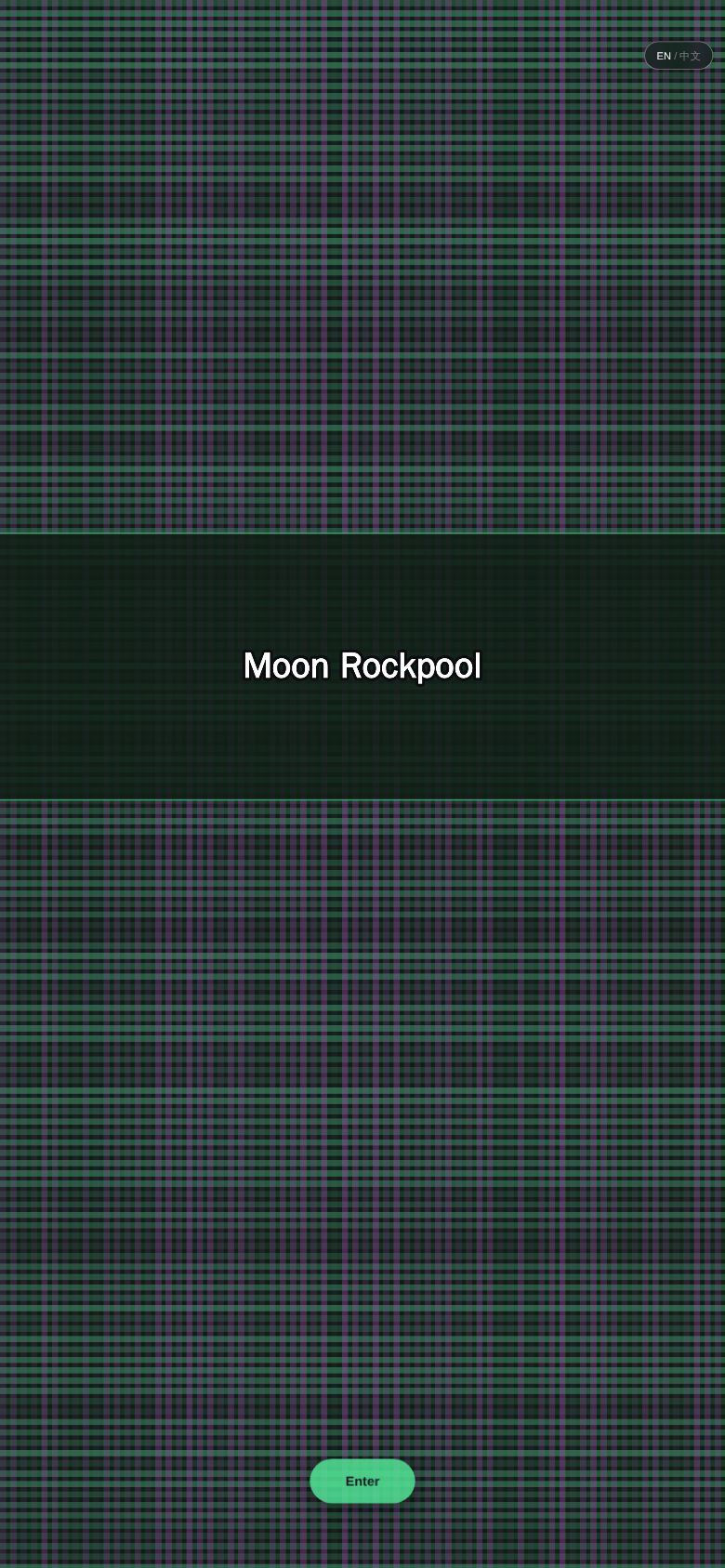 Moon Rockpool