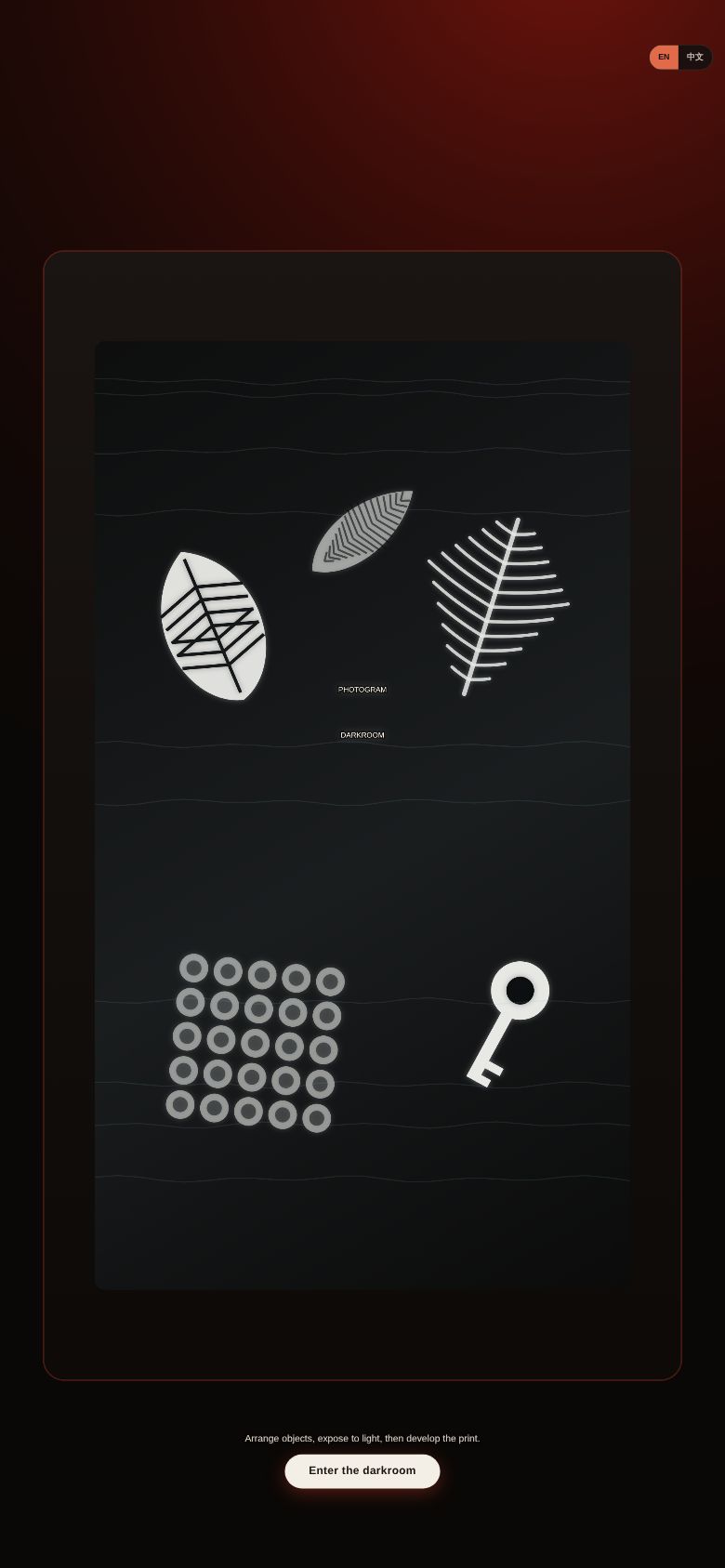 Photogram Darkroom