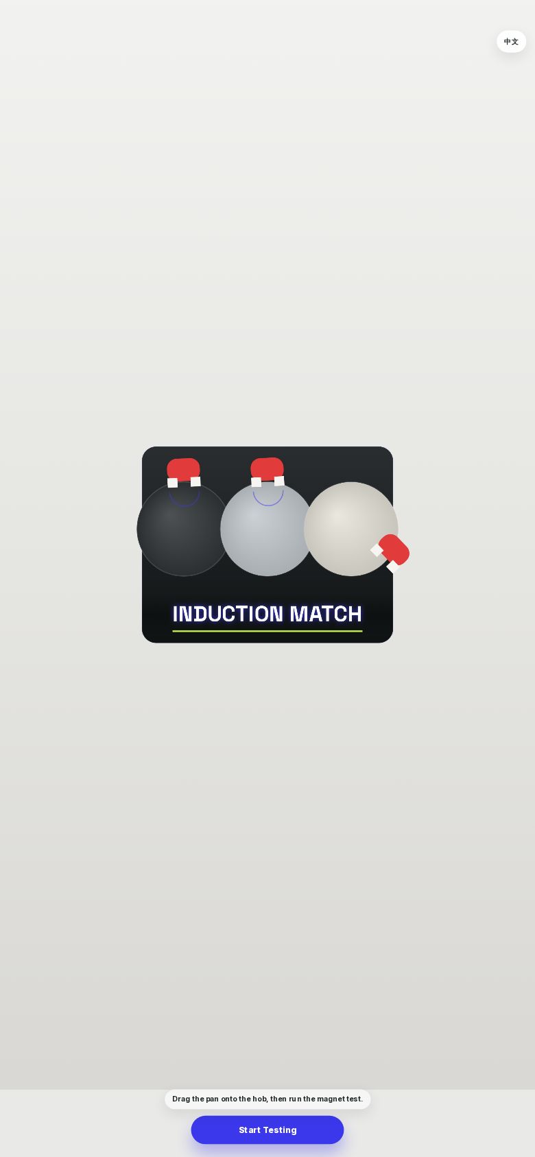 Induction Match