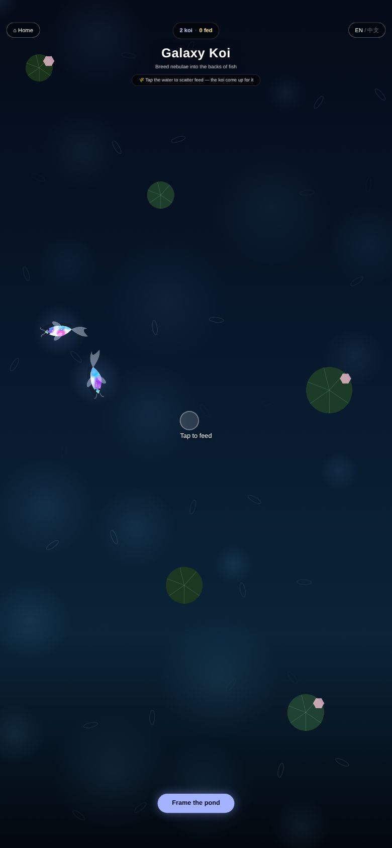 Galaxy Koi