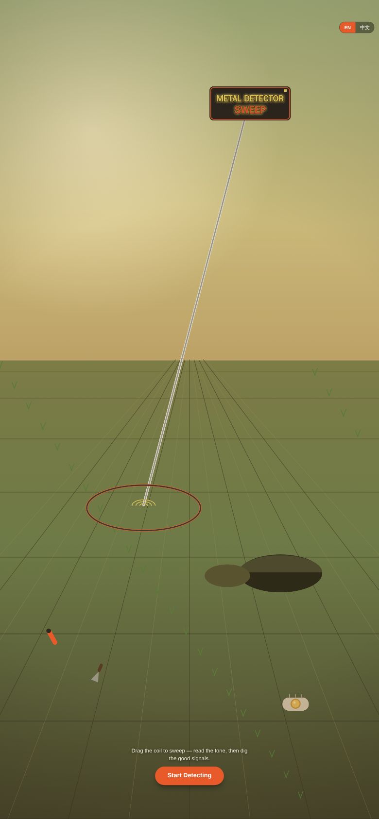 Metal Detector Sweep