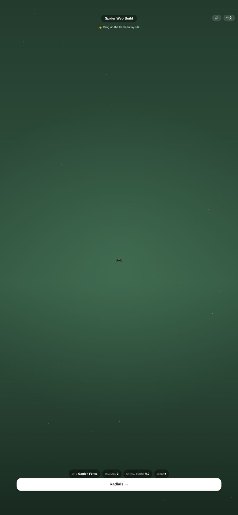 Spider Web Build