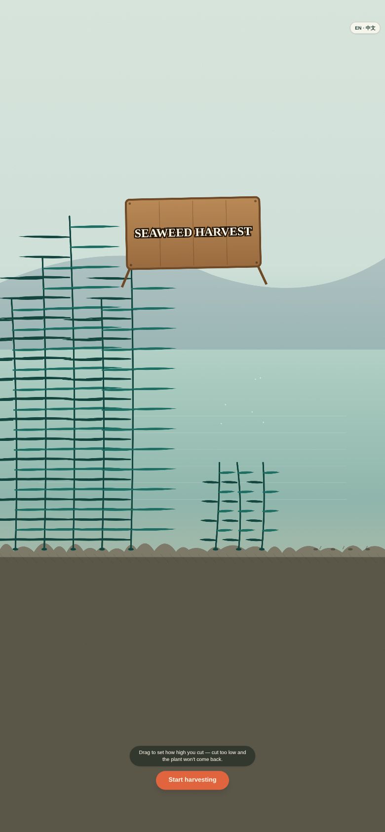 Seaweed Harvest