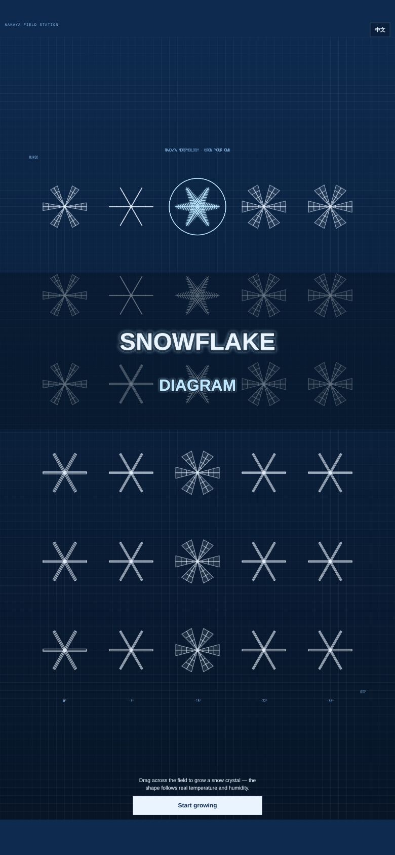 Snowflake Diagram