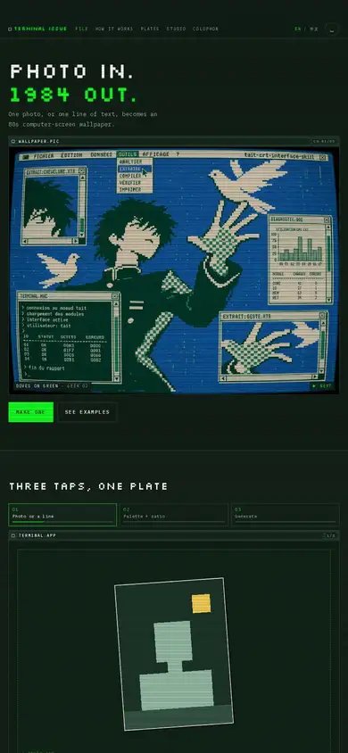 Terminal Issue