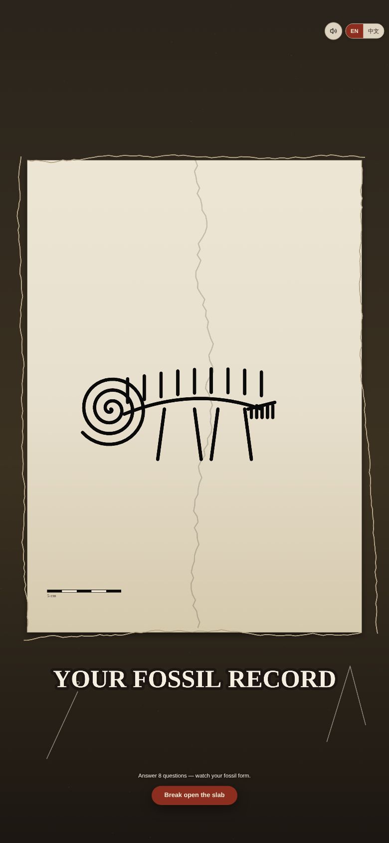 Your Fossil Record