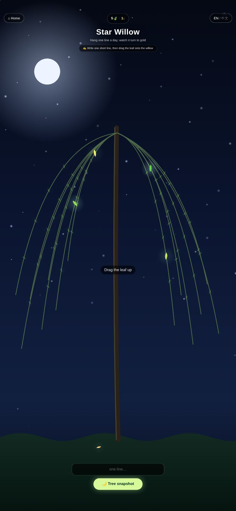 Star Willow