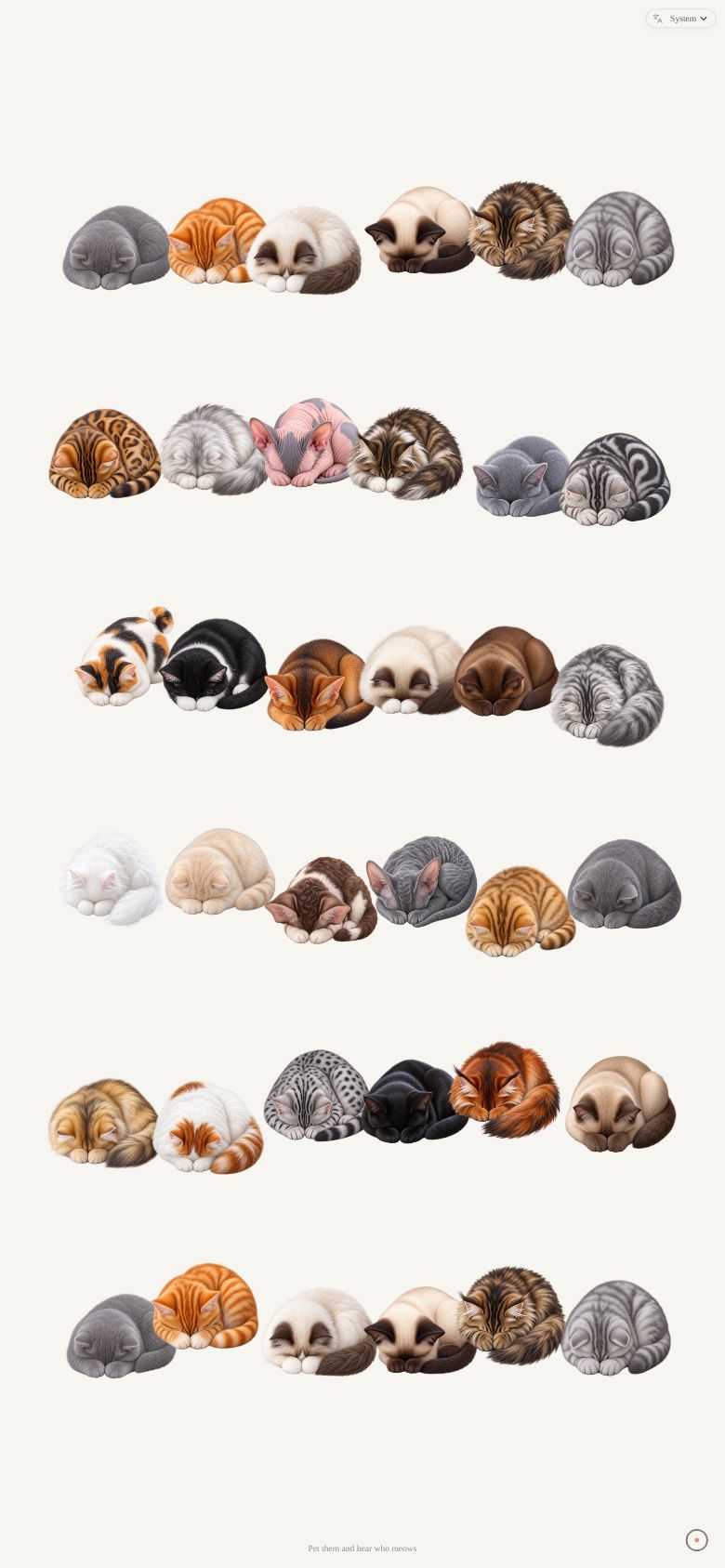 Void Cats