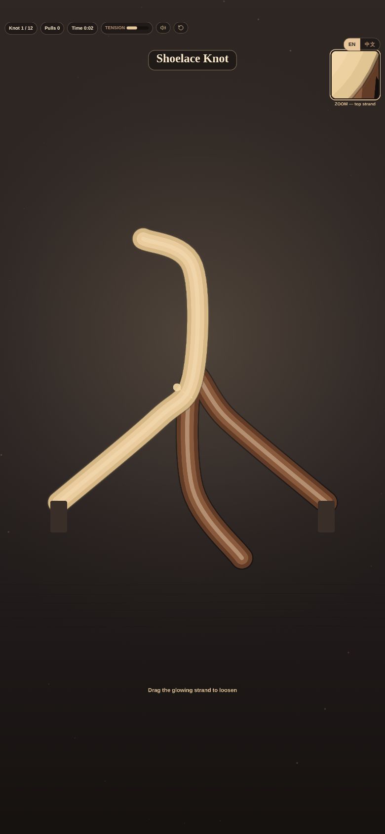 Shoelace Knot