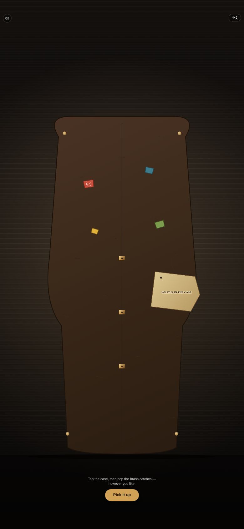 What Is In the Case