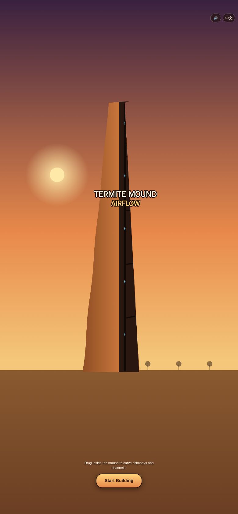 Termite Mound Airflow