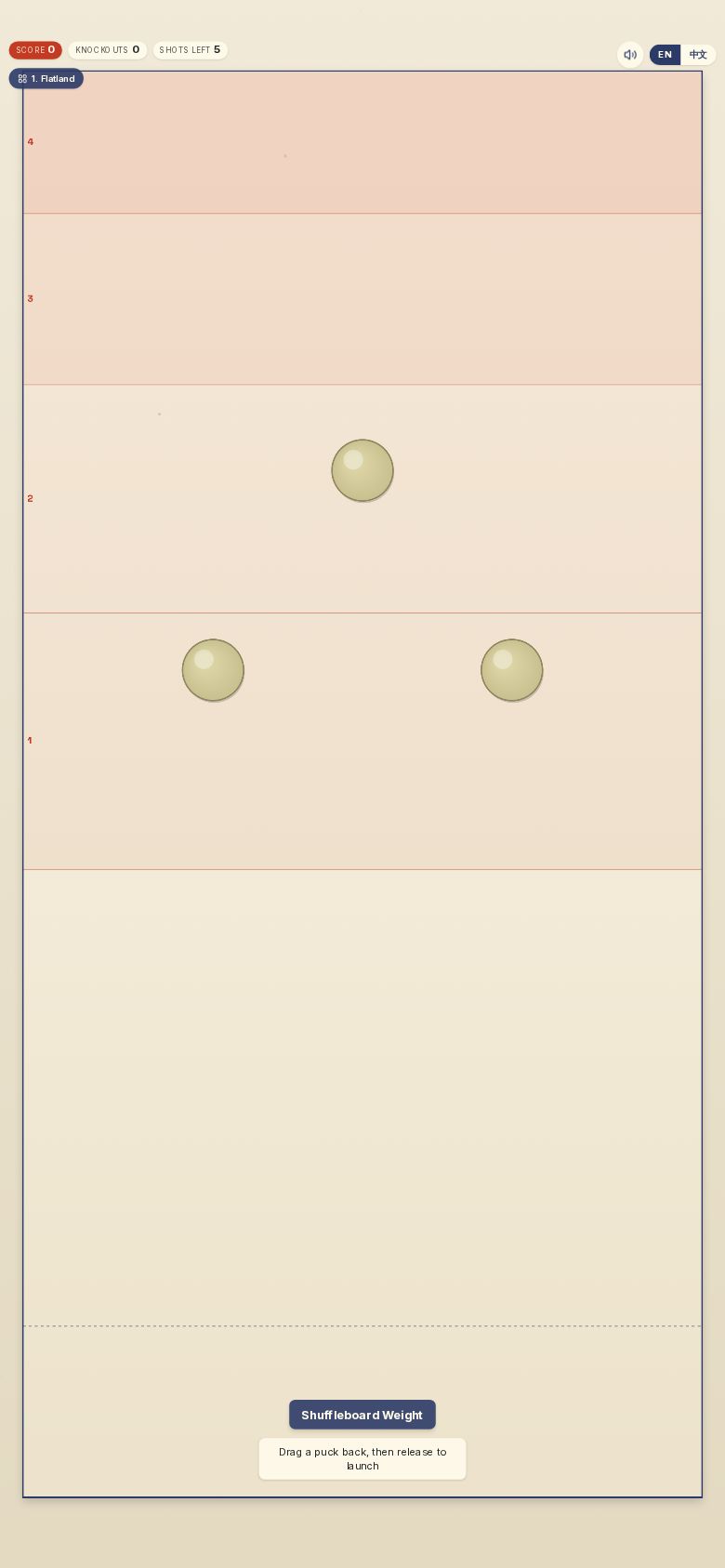 Shuffleboard Weight