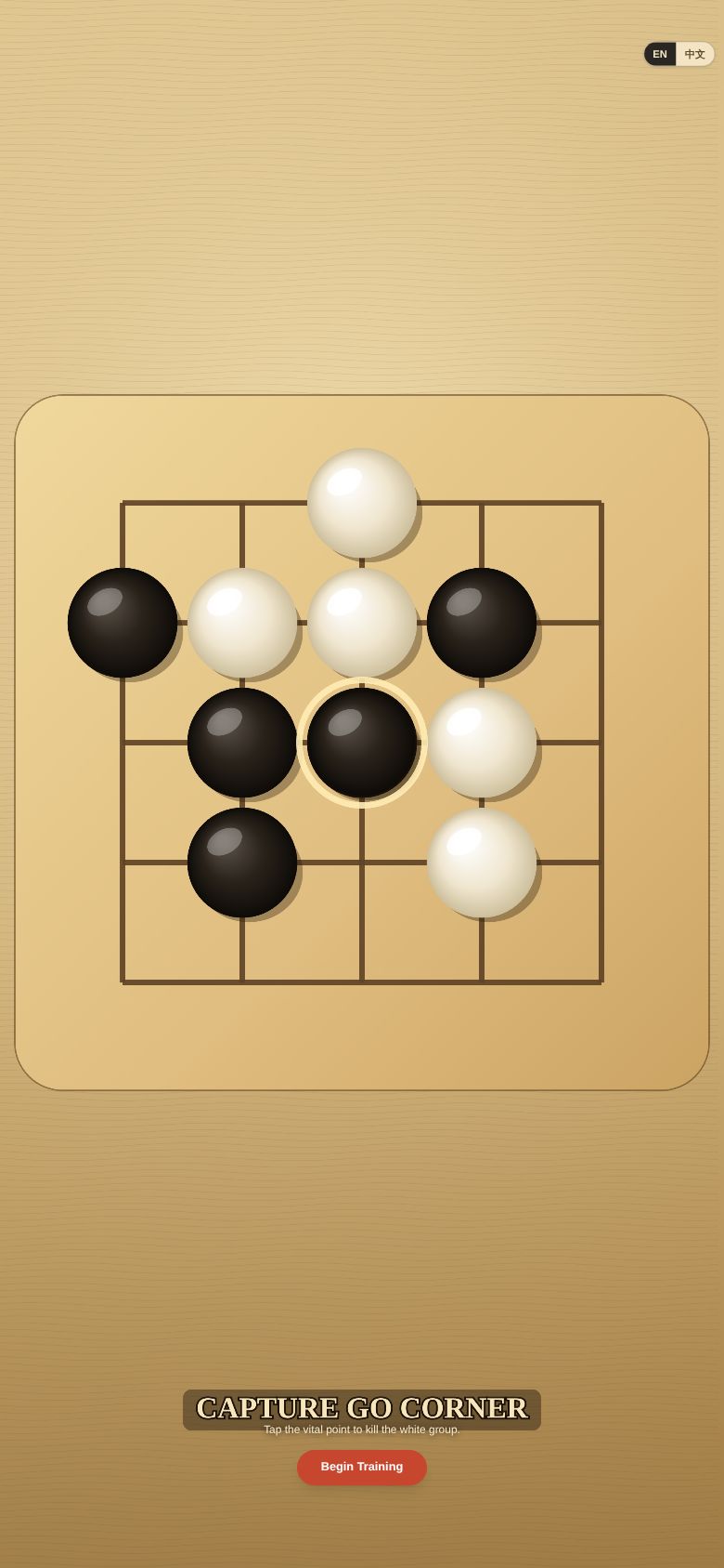 Capture Go Corner