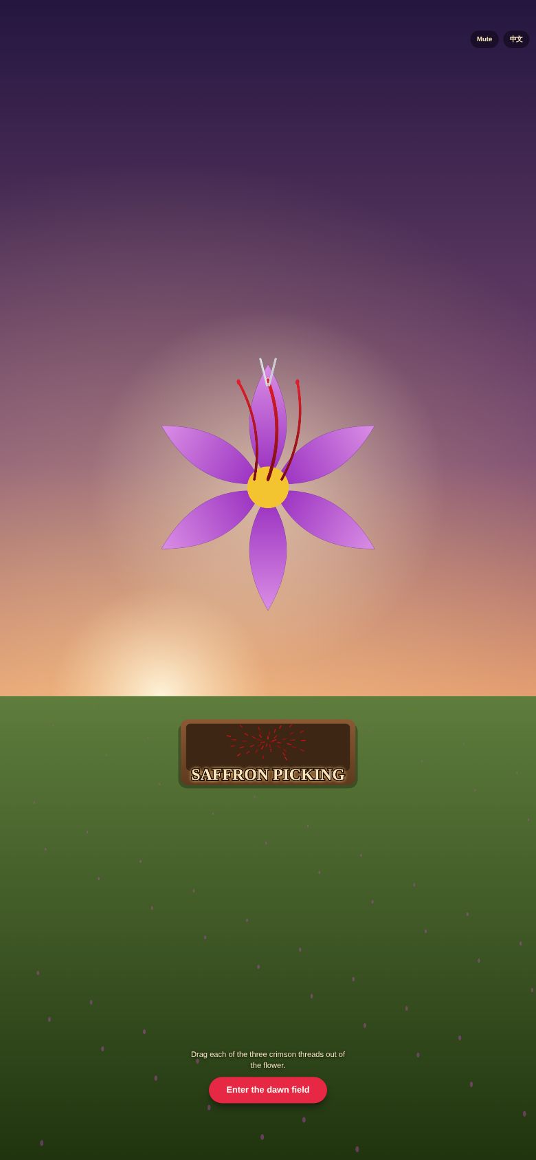 Saffron Picking