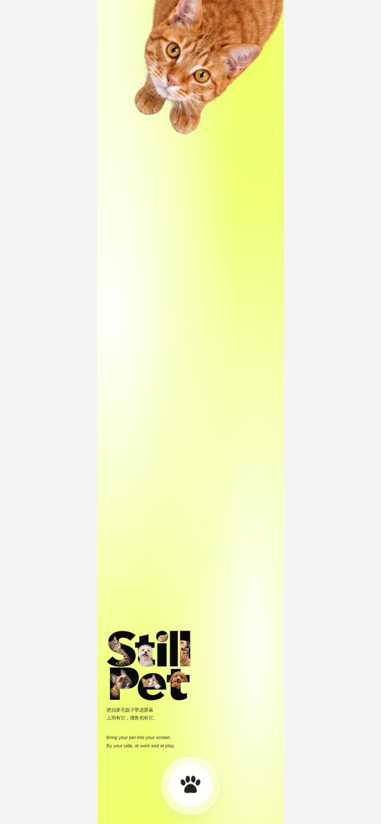 Stillpet