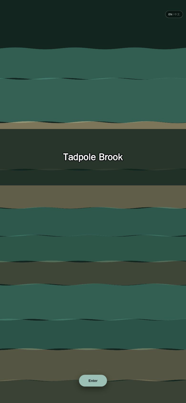 Tadpole Brook