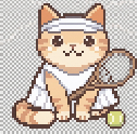 Pixel Fit Pet