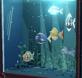 LOCK IN Aquarium